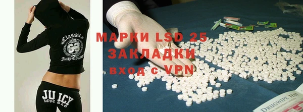 прущие грибы Дмитровск