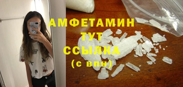 прущие грибы Дмитровск