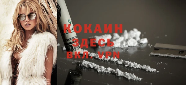прущие грибы Дмитровск