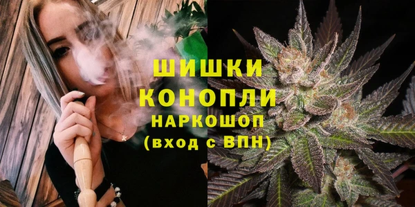 прущие грибы Дмитровск