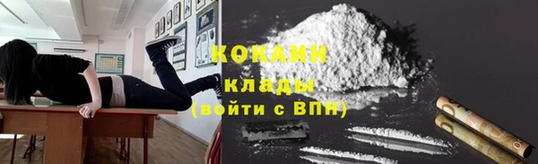 дживик Дмитриев