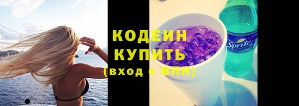 дживик Дмитриев