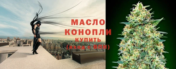 меф Ельня