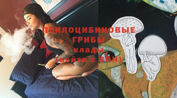 прущие грибы Дмитровск