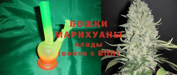 прущие грибы Дмитровск